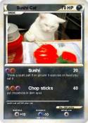 Sushi Cat