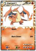Charizard Y