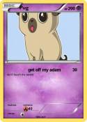Pug