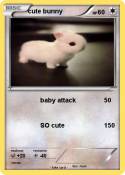 cute bunny