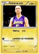 STEVE BLAKE