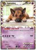 Hypnodog