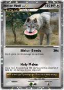 Melon Wolf