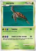 sea turtle