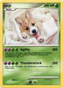 corgi