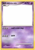 wolf shih-tzu