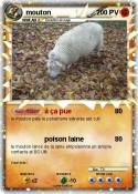 mouton