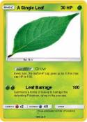 A Single Leaf