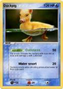 Duckpig