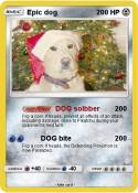 Epic dog