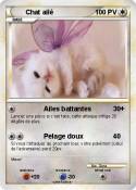 Chat ailé