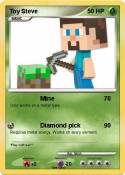 Toy Steve