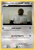 cortex