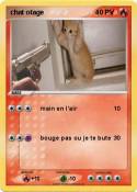 chat otage
