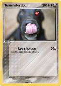 Terminator dog