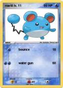 marill lv. 11
