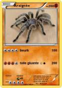 Araignée