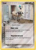Cow