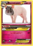 Le rats porc