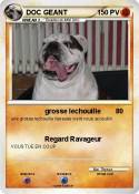 DOC GEANT