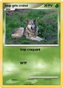 loup gris crois