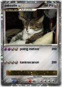patouille
