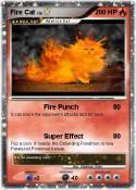 Fire Cat