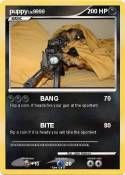 puppy