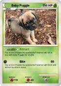 Baby Puggle