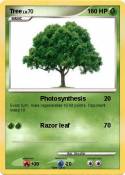 Tree