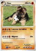 Filou