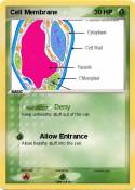 Cell Membrane