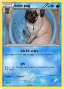 water pug