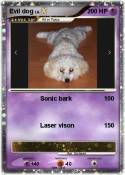 Evil dog
