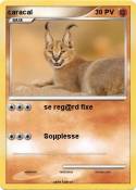caracal