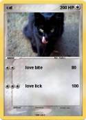cat