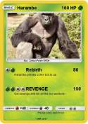 Harambe
