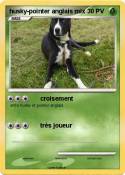 husky-pointer