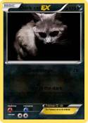Dark cat