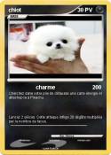 chiot