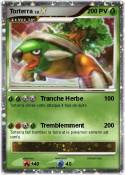 Torterra