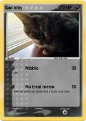 Sad kitty