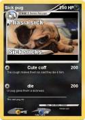 Sick pug