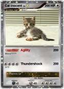 Cat inocent