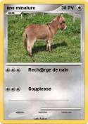 âne minature