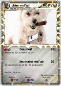 chien en l'air