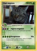 Chat mignion