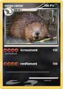 mega castor