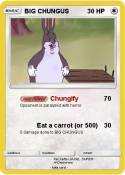 BIG CHUNGUS