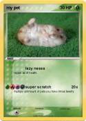 my pet